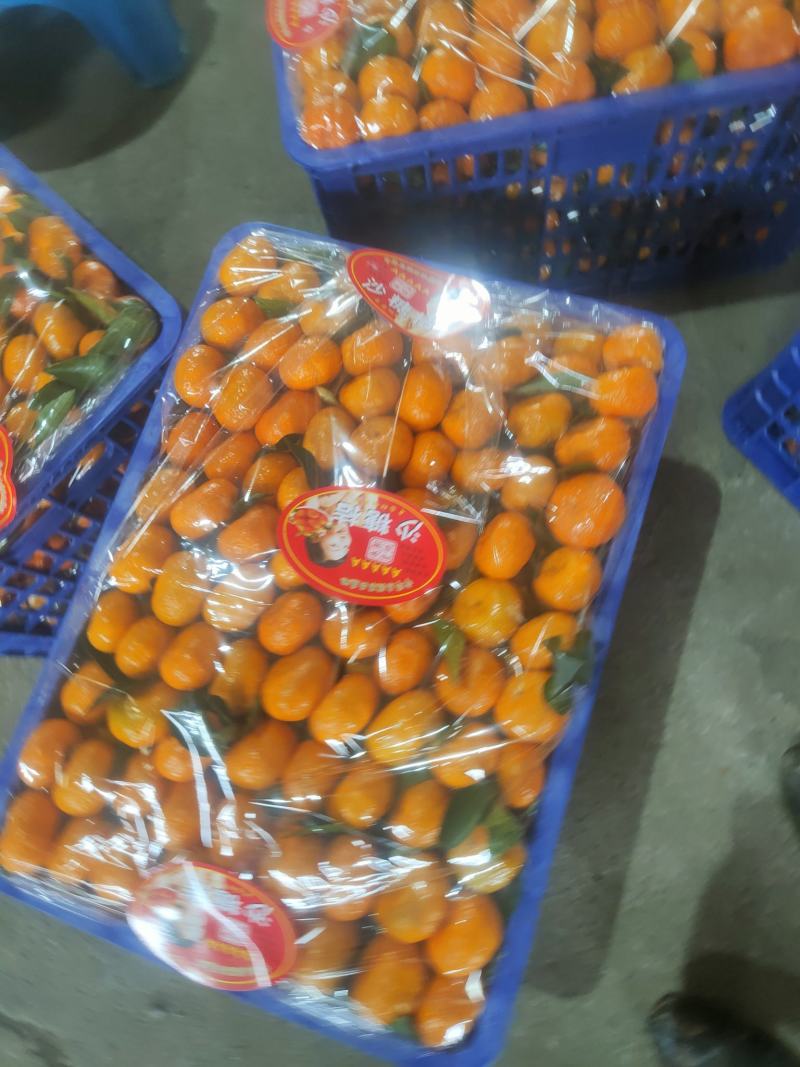 广西桂林南丰蜜橘，贡橘，皮薄多汁，入口即化，全国代发