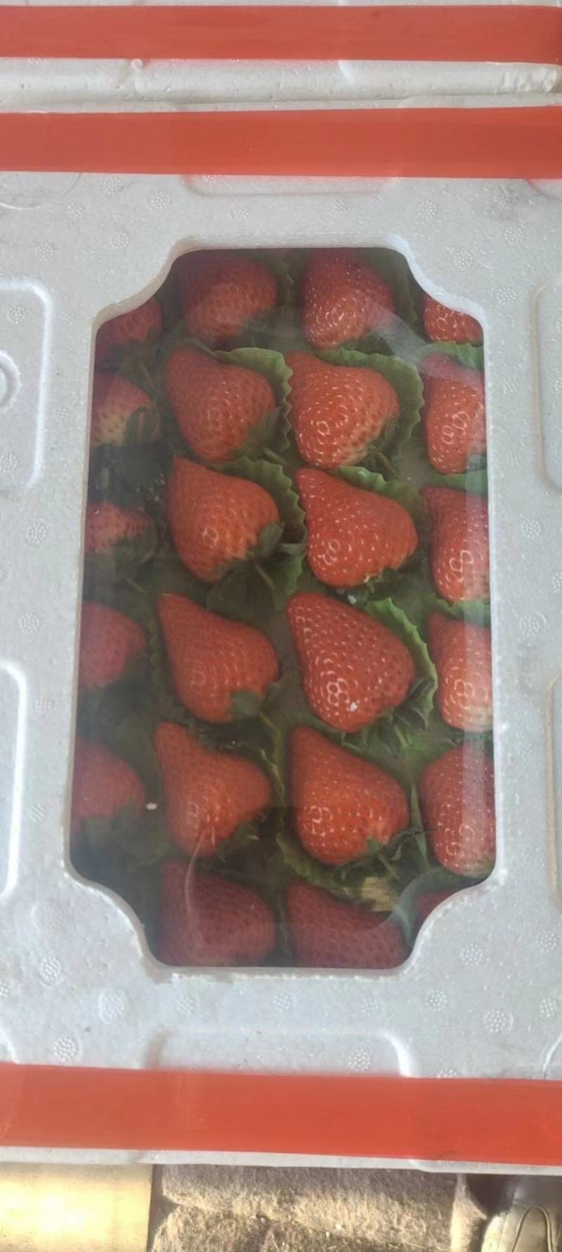 久久草莓