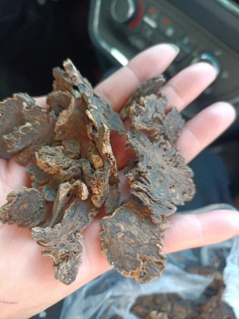 玄参片子通货现货批发零售
