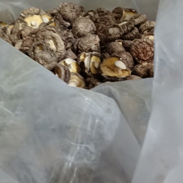 干香菇