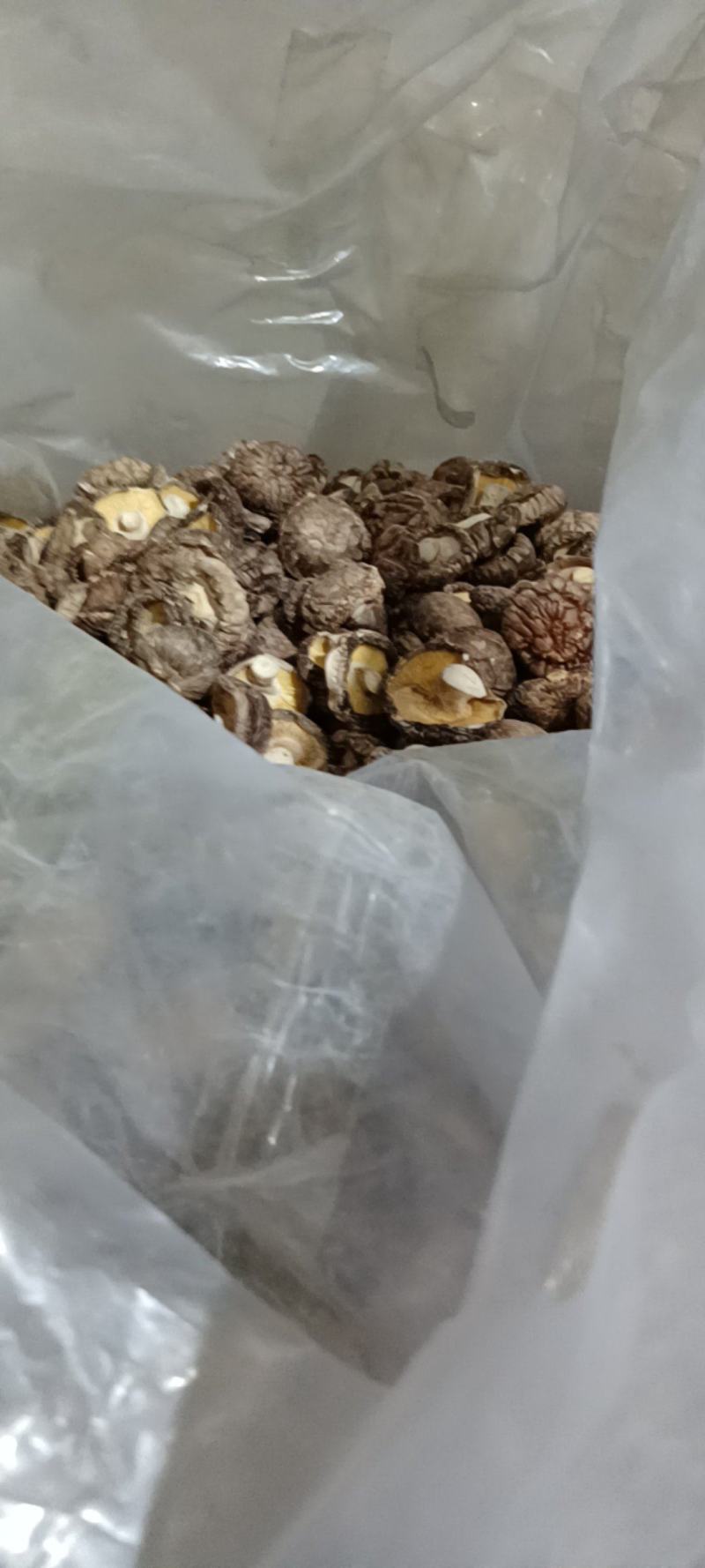 干香菇