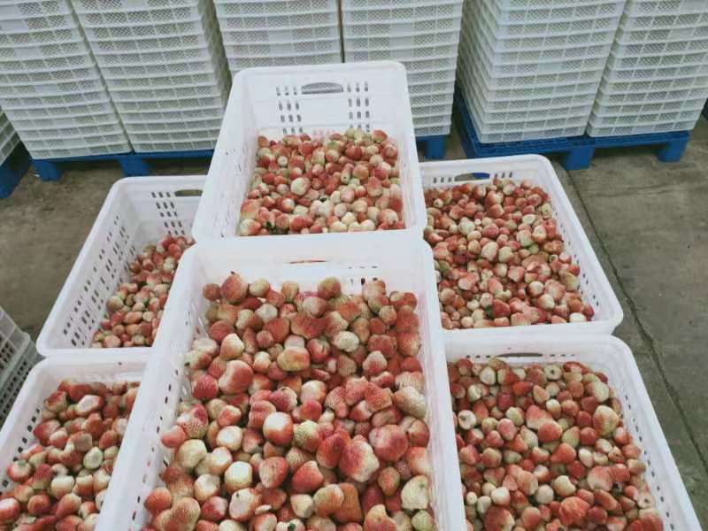 展示不同品牌或类型的草莓干产品及其标价,便于价格对比 草莓干价格对比图