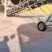 玉米，2024年烘干玉米颗粒，日供货1000吨