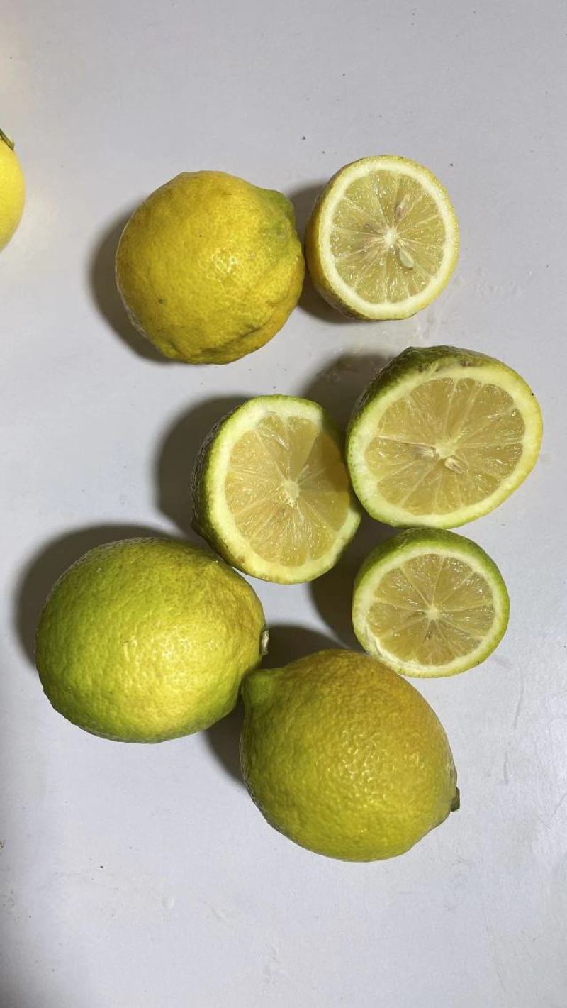 尤力克丑柠檬