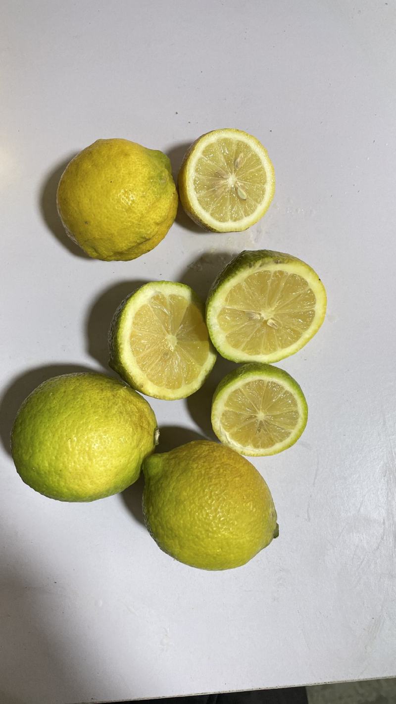 尤力克丑柠檬