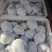 玉露香梨