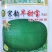 宋韵早甜宝西瓜种子早熟绿皮青皮西瓜种籽红瓤超甜露地西瓜