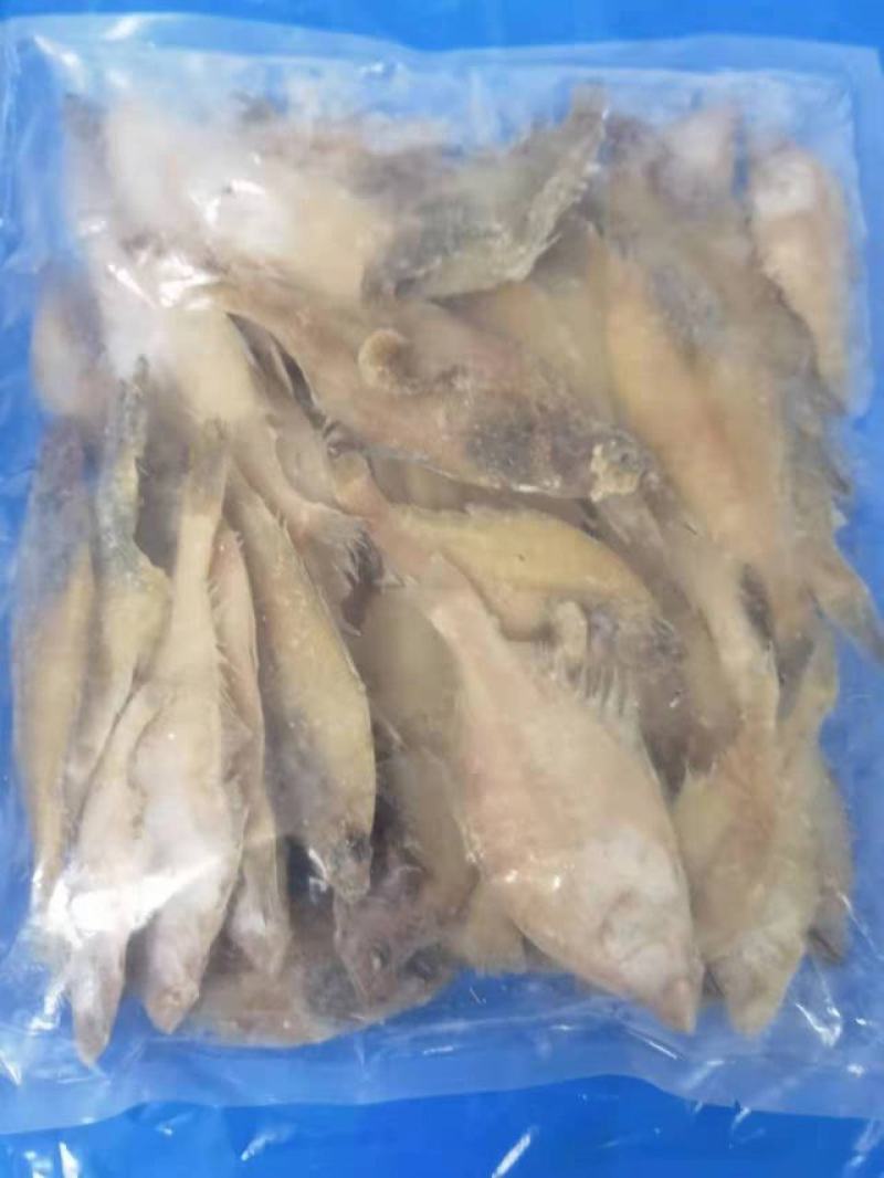 小片口大连本地
