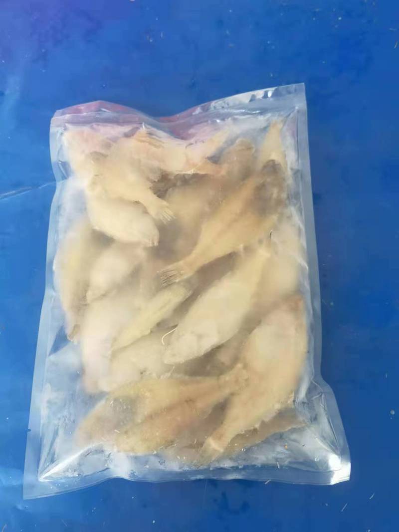 小片口大连本地