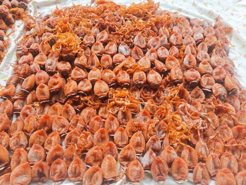 富平柿饼具有，软，糯，甜，欢迎各位朋友连糸