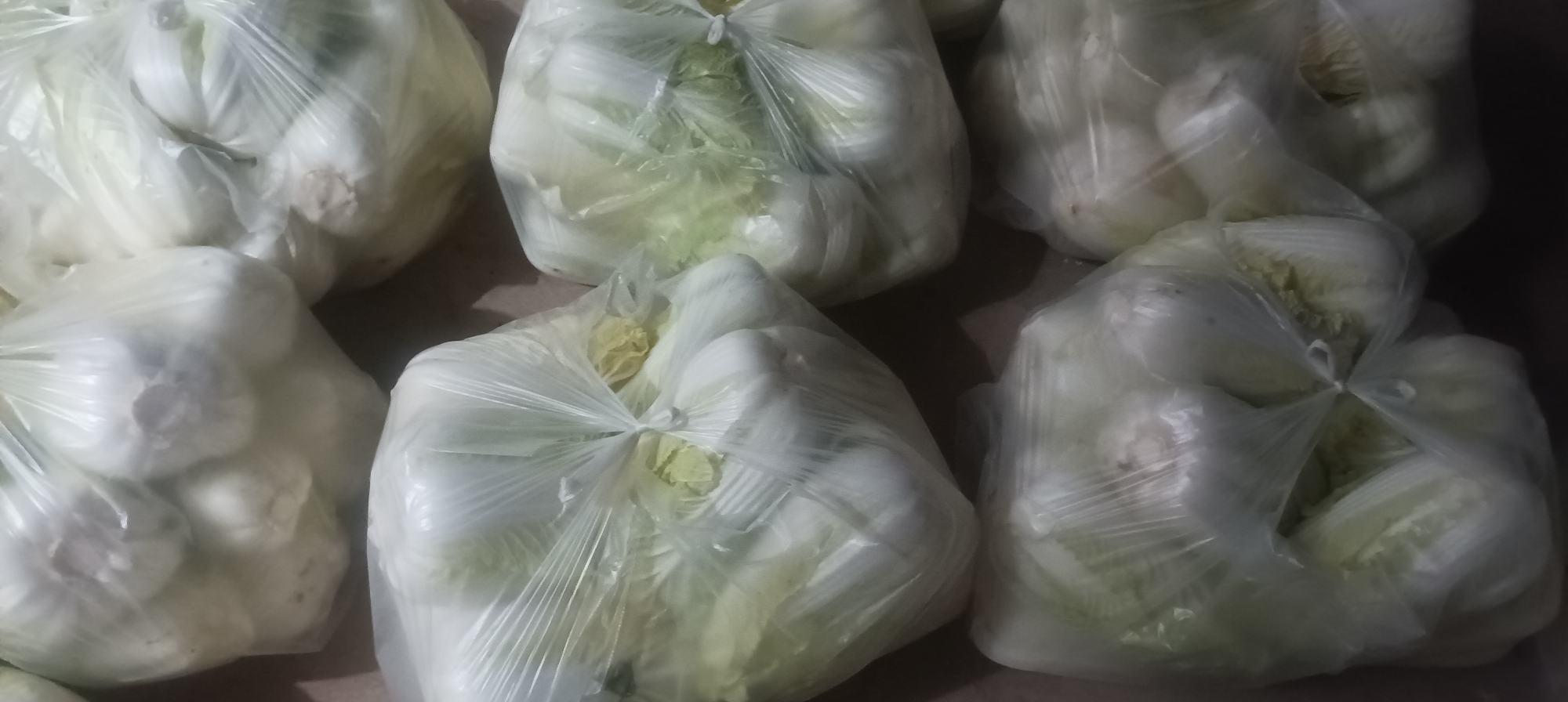 金品5号娃娃菜在超市货架上的陈列效果