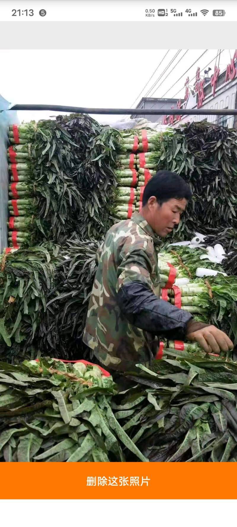 紫叶莴笋-基地直供-视频看货-量大从优。