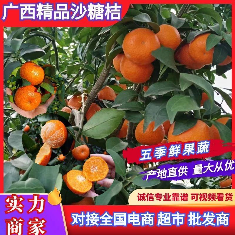 正宗广西沙糖桔，盖膜果园，产地直发，诚信经营，随行就市