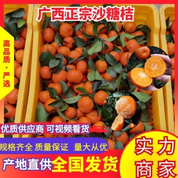砂糖橘橘子沙糖桔薄皮甜橘子应季水果甘甜多汁随行就市