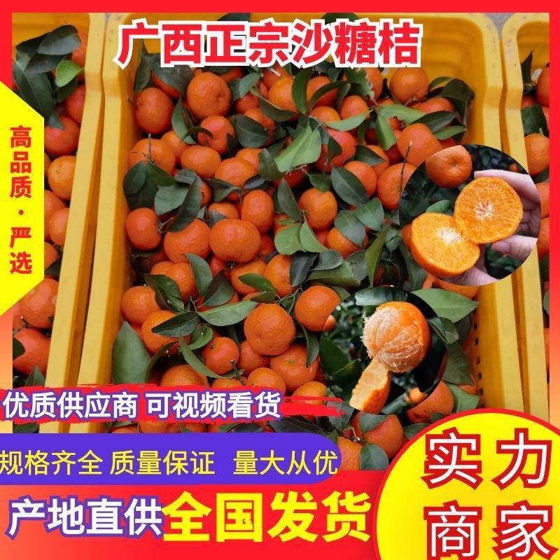 砂糖橘橘子沙糖桔薄皮甜橘子应季水果甘甜多汁随行就市