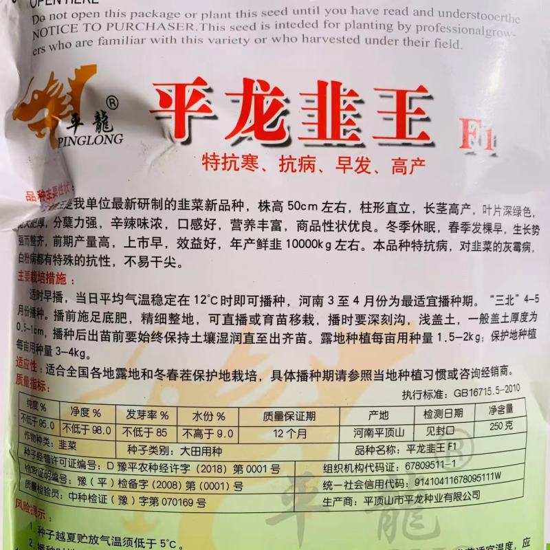 平丰休眠韭菜种子冬韭王宽叶深绿韭菜籽种子抗病耐热冬季