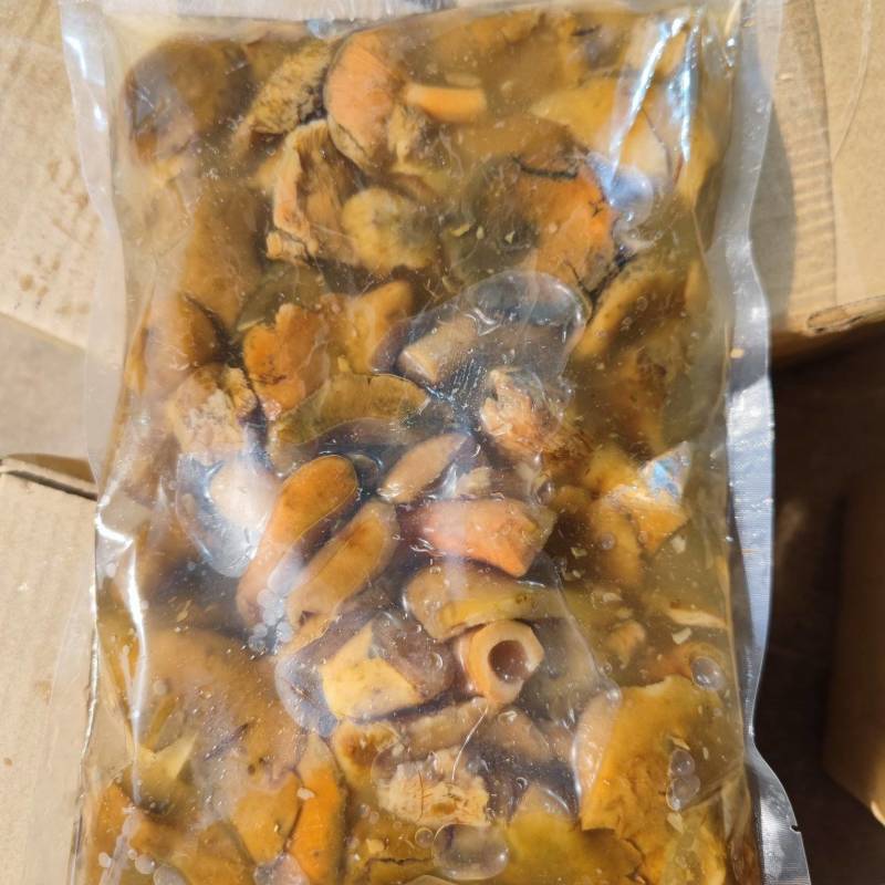 甘肃兰州盐泽松树菌产地一手货源量大从优欢迎来电