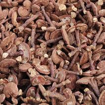 安徽金寨椴木赤灵芝，初级农副产品深山种植多糖三帖含量高