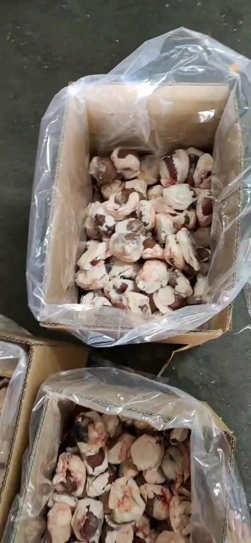 精品羊腰子，原油羊腰子，质量上乘，价格美丽，欢迎来电咨询