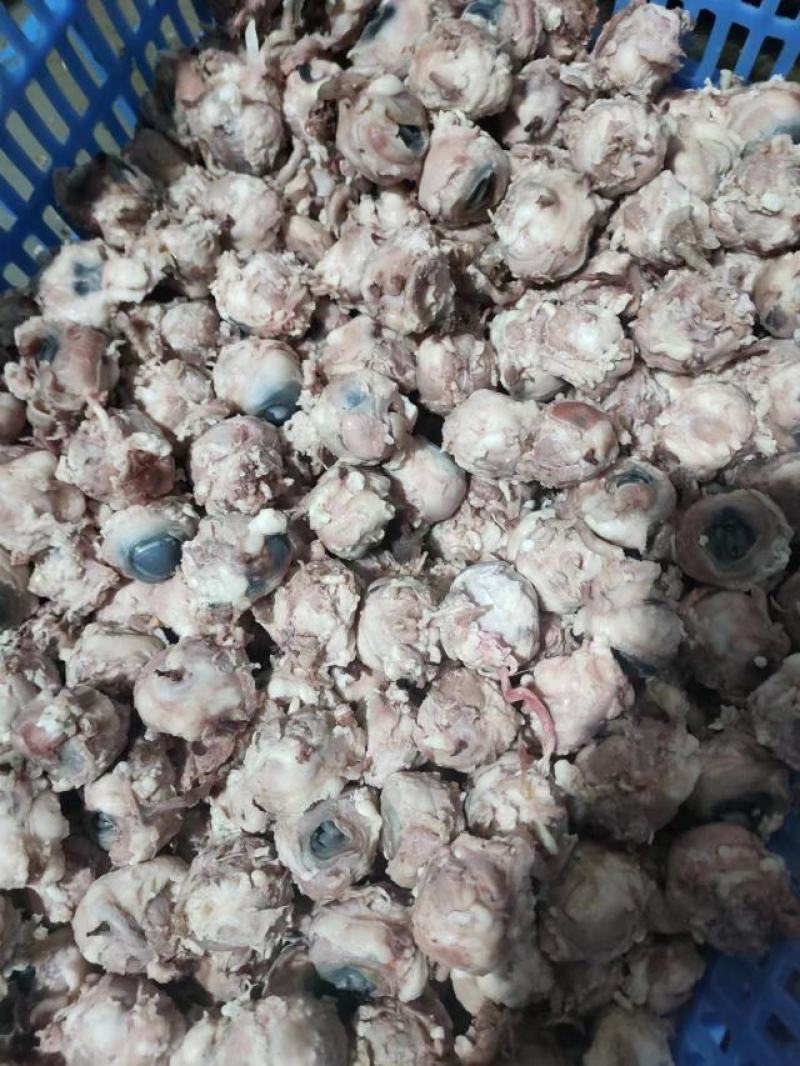 精品羊眼，质量上乘，量大从优。源头发货，欢迎选购
