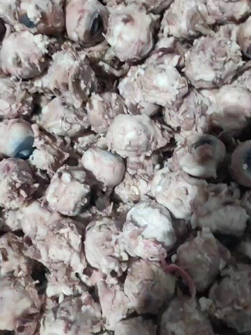 精品羊眼，质量上乘，量大从优。源头发货，欢迎选购