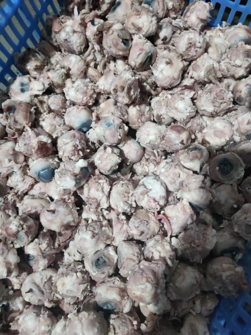 精品羊眼，质量上乘，量大从优。源头发货，欢迎选购
