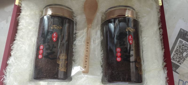 灵芝孢子粉粉质纯正细腻产地直邮有礼盒款