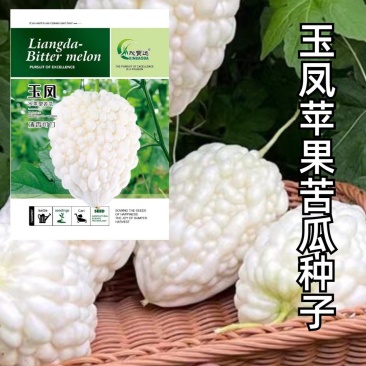 玉凤苹果苦瓜种子农家庭院阳台种植蔬菜种子