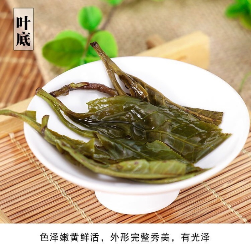 茉莉花茶茉莉花茶茉莉花龙珠广西横县茉莉花茶浓香型