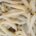 银鱼