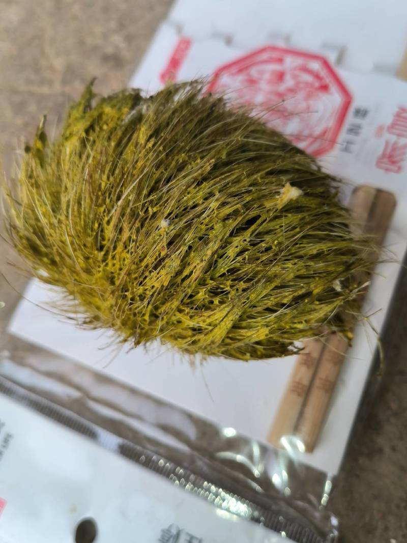 药材：猪宝，药材猪宝，猪宝，需要的老板下单