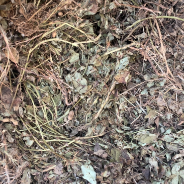 江苏宿迁花生秧无土无膜无霉变保质保量量大从优