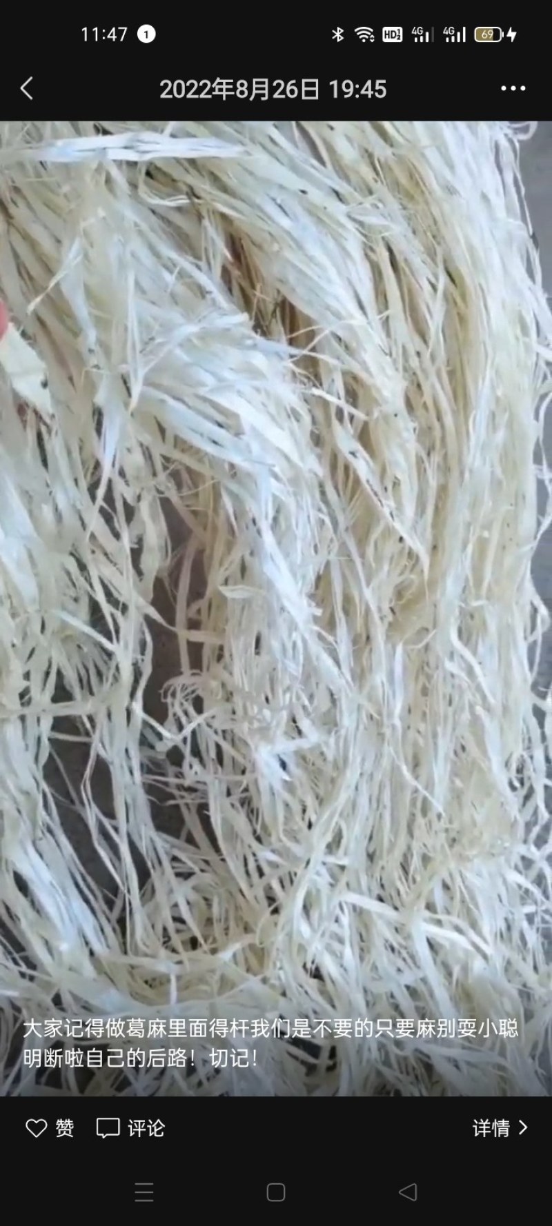 葛麻