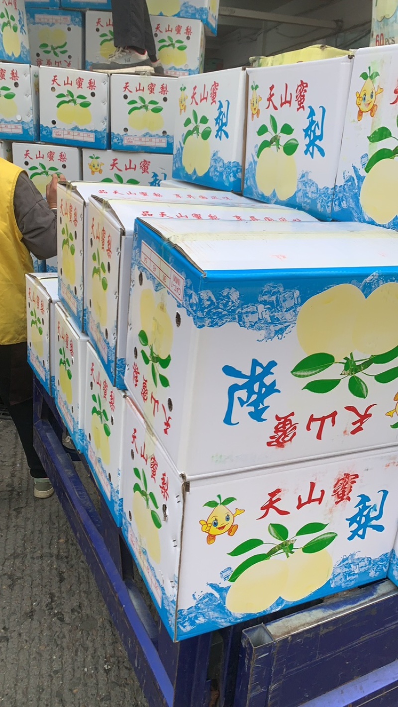 贡梨