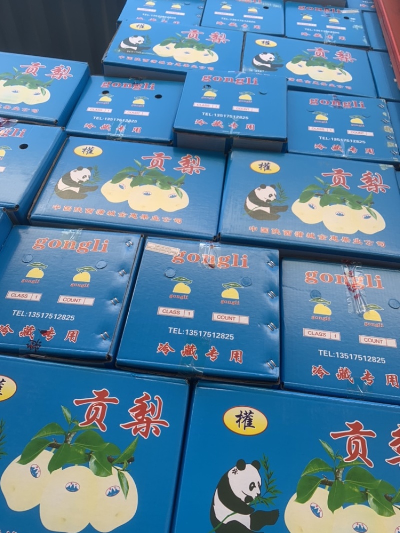 贡梨