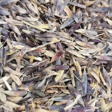 我家种药材，我想卖药材