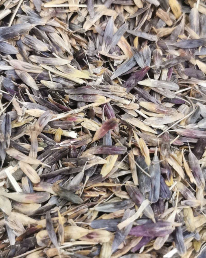 我家种药材，我想卖药材
