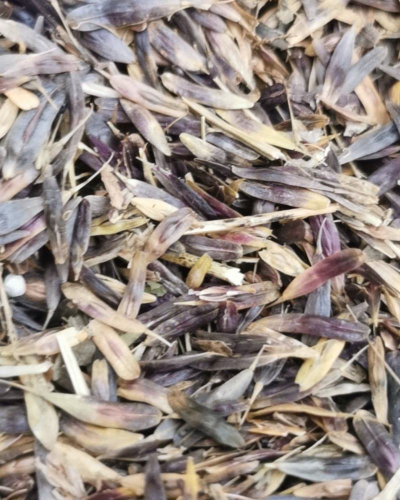 我家种药材，我想卖药材