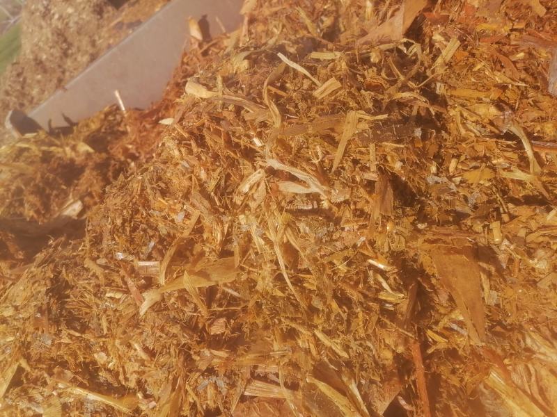 牛羊草料玉米秸秆黄储