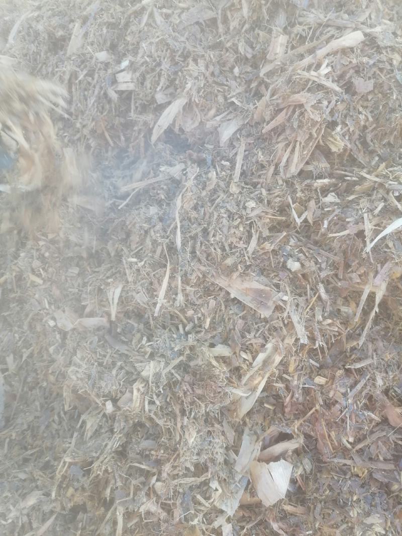 牛羊草料玉米秸秆黄储