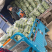 需要的朋友可以联系我