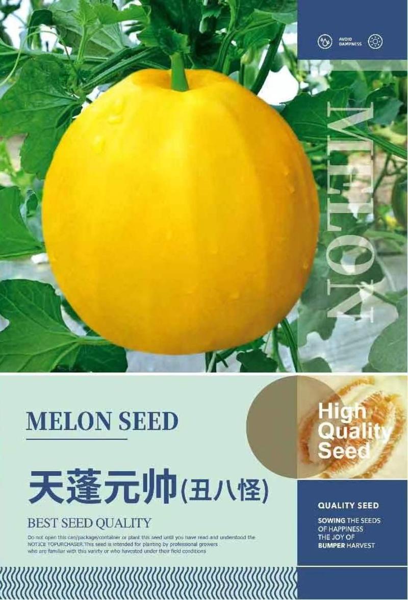 天蓬元帅丑八怪甜瓜种子农家庭院种植水果种子。