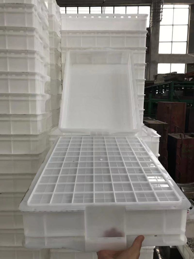 甲鱼，乌龟孵化塑料箱，水产储物箱
