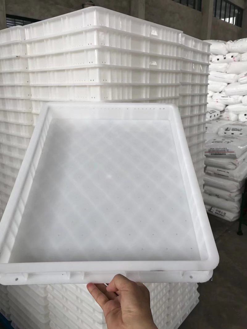 甲鱼，乌龟孵化塑料箱，水产储物箱