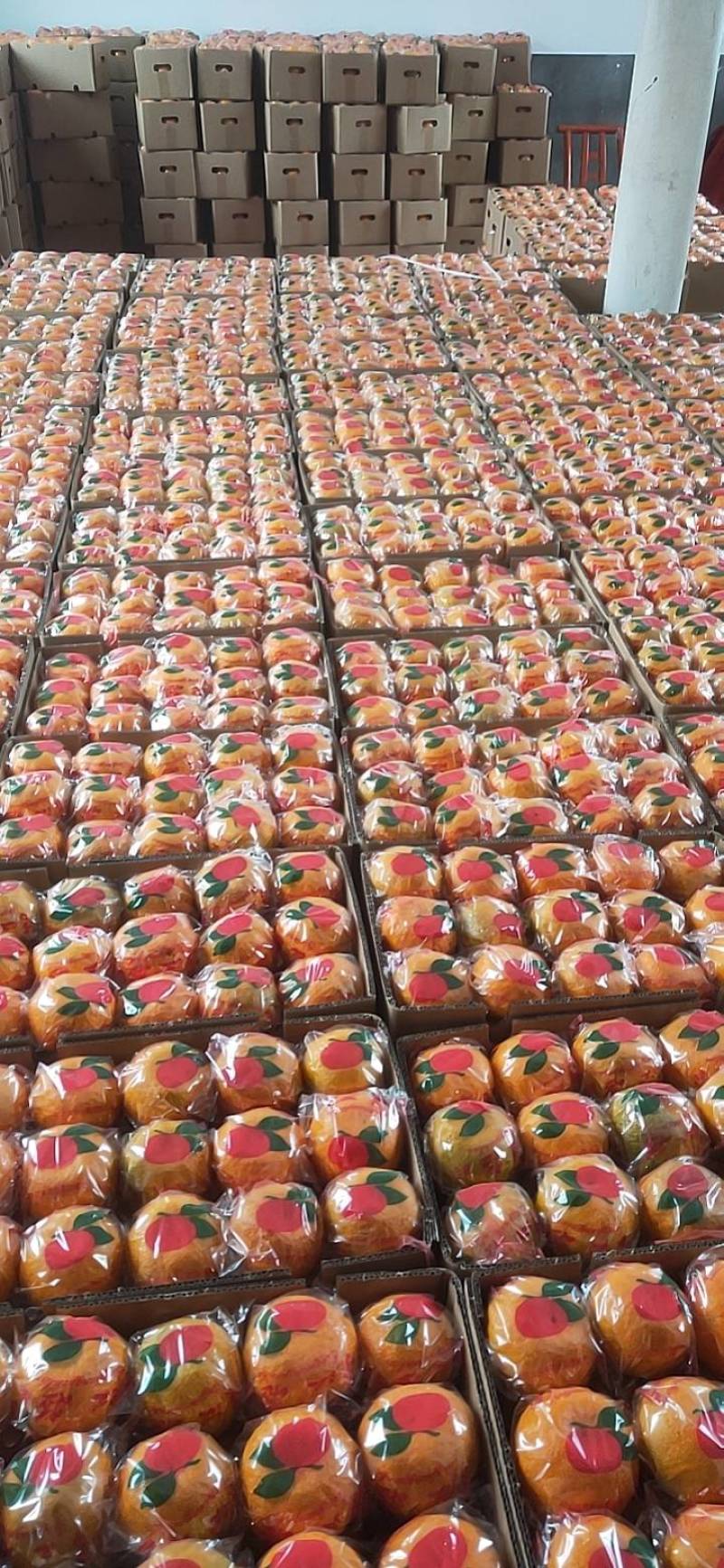 精品椪柑