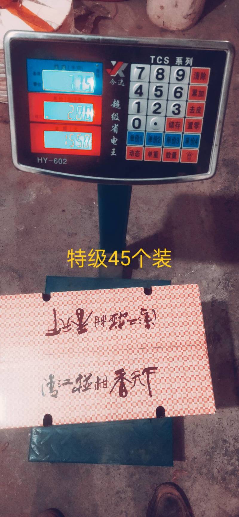 精品椪柑