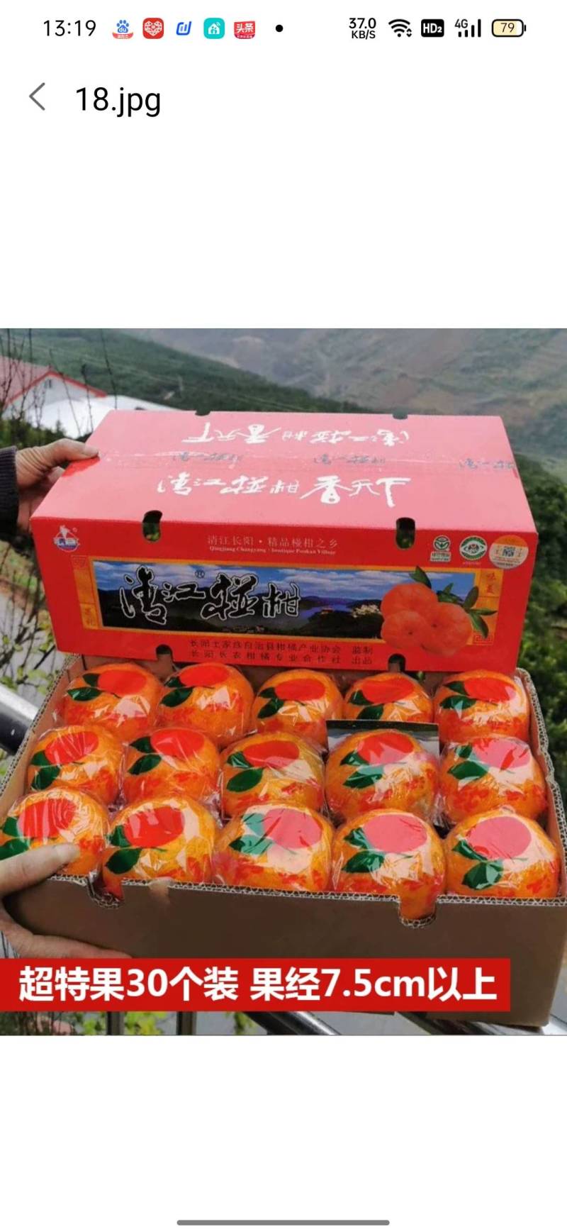 精品椪柑