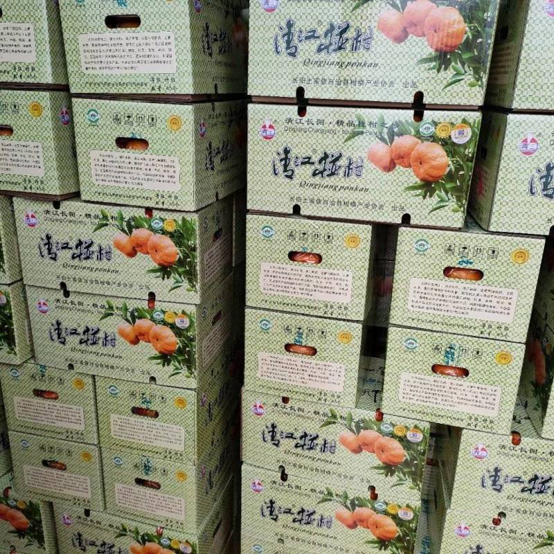 精品椪柑