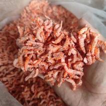 磷虾米