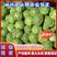 四川凉山甘蓝，圆包菜产地一手货源质量保证，量大从优欢迎